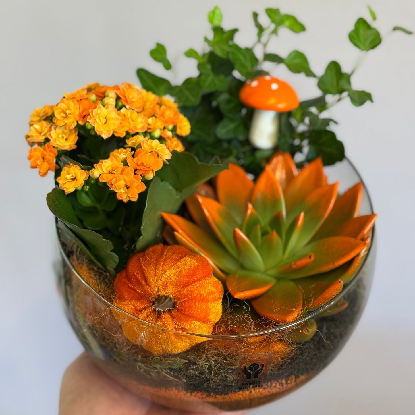 Aranjament Autumn Glow cu suculente și elemente decorative de toamnă – Cluj