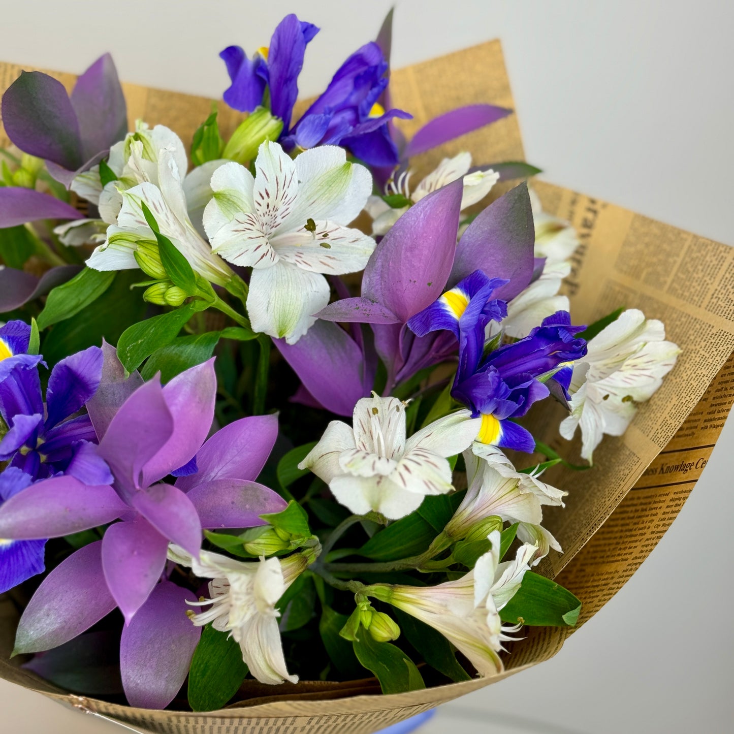 Florarie Floresti Cluj