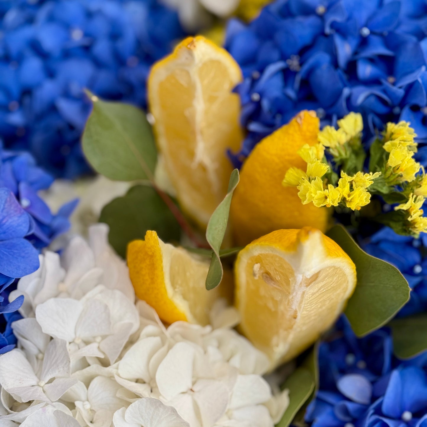 Buchet spectaculos de hortensii colorate, ideal pentru aniversări și evenimente – Mister Flower Cluj
