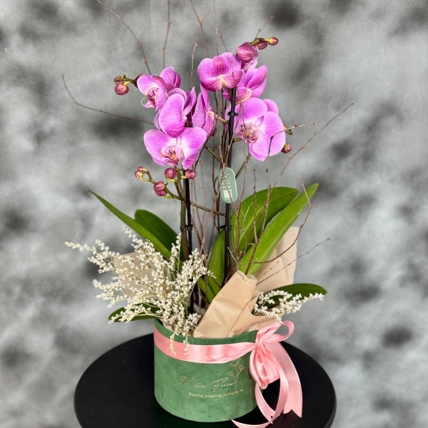 Aranjament floral Velvet Orchid Elegance – orhidee roz vibrantă într-o cutie de catifea verde cu panglică roz, realizat pentru decor sau cadou special.