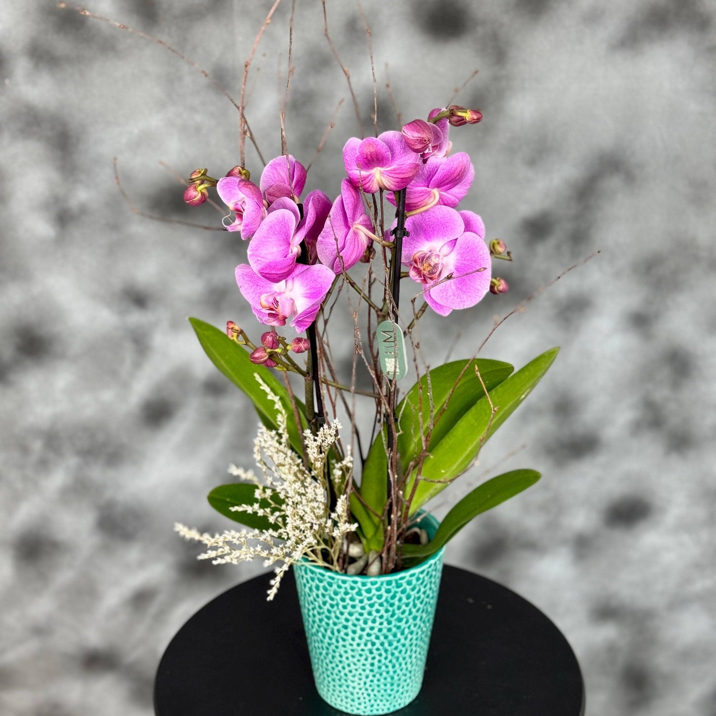 Elegant Orchid in Ceramic Vase - Orhidee roz într-un vas ceramic turcoaz, decorată cu crenguțe și elemente naturale, perfectă pentru cadou sau decor interior