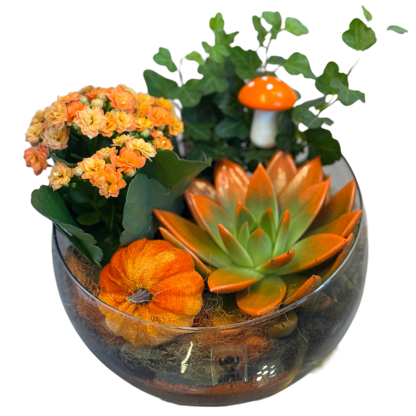 Terrarium cu suculente și flori portocalii în bol de sticlă – Florăria Mister Flower Florești Cluj