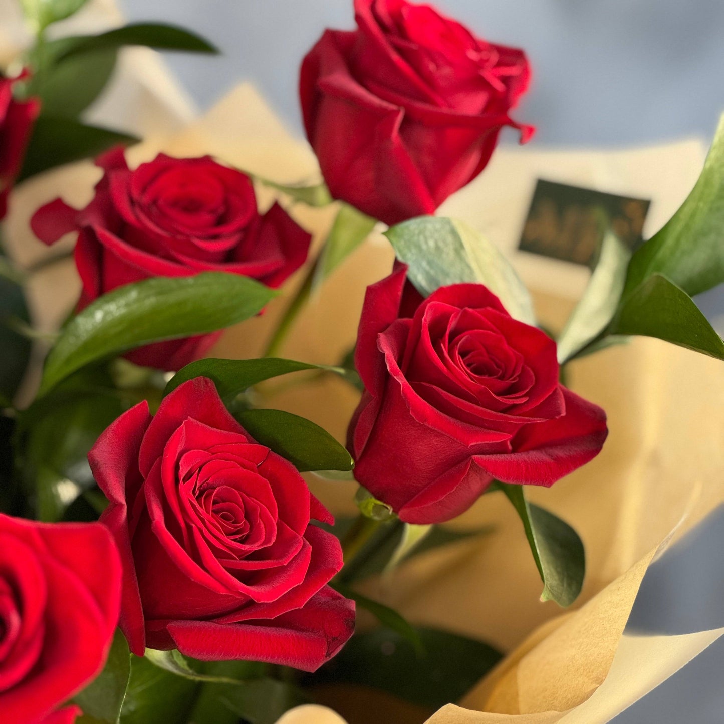Buchet de 9 trandafiri roșii cu ruscus verde pentru aniversări și cereri în căsătorie