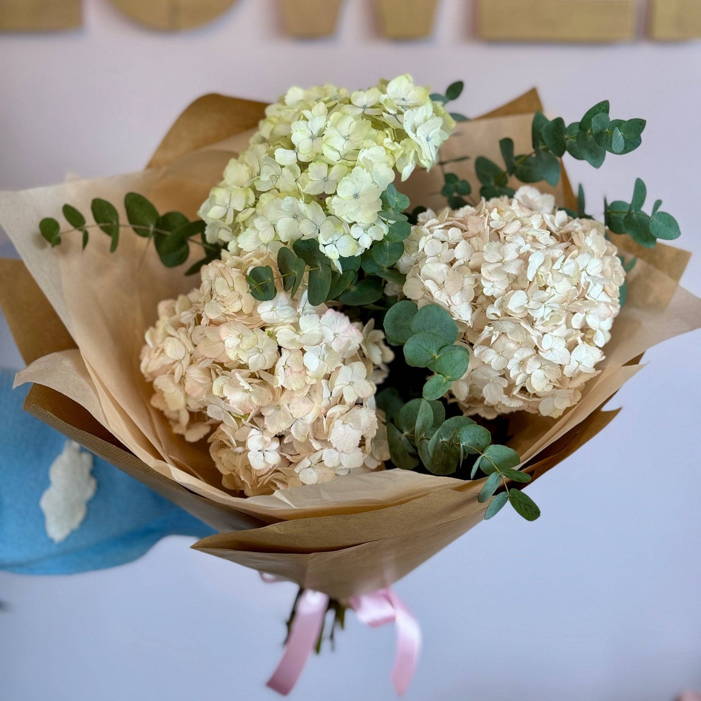 Buchet elegant cu hortensii pastelate și eucalipt, ambalat în hârtie natur, perfect pentru ocazii speciale precum nunți, botezuri și aniversări.