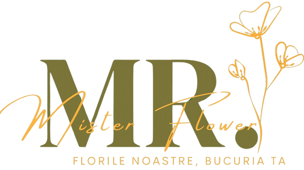 Mister Flower | Florarie online Floresti Cluj