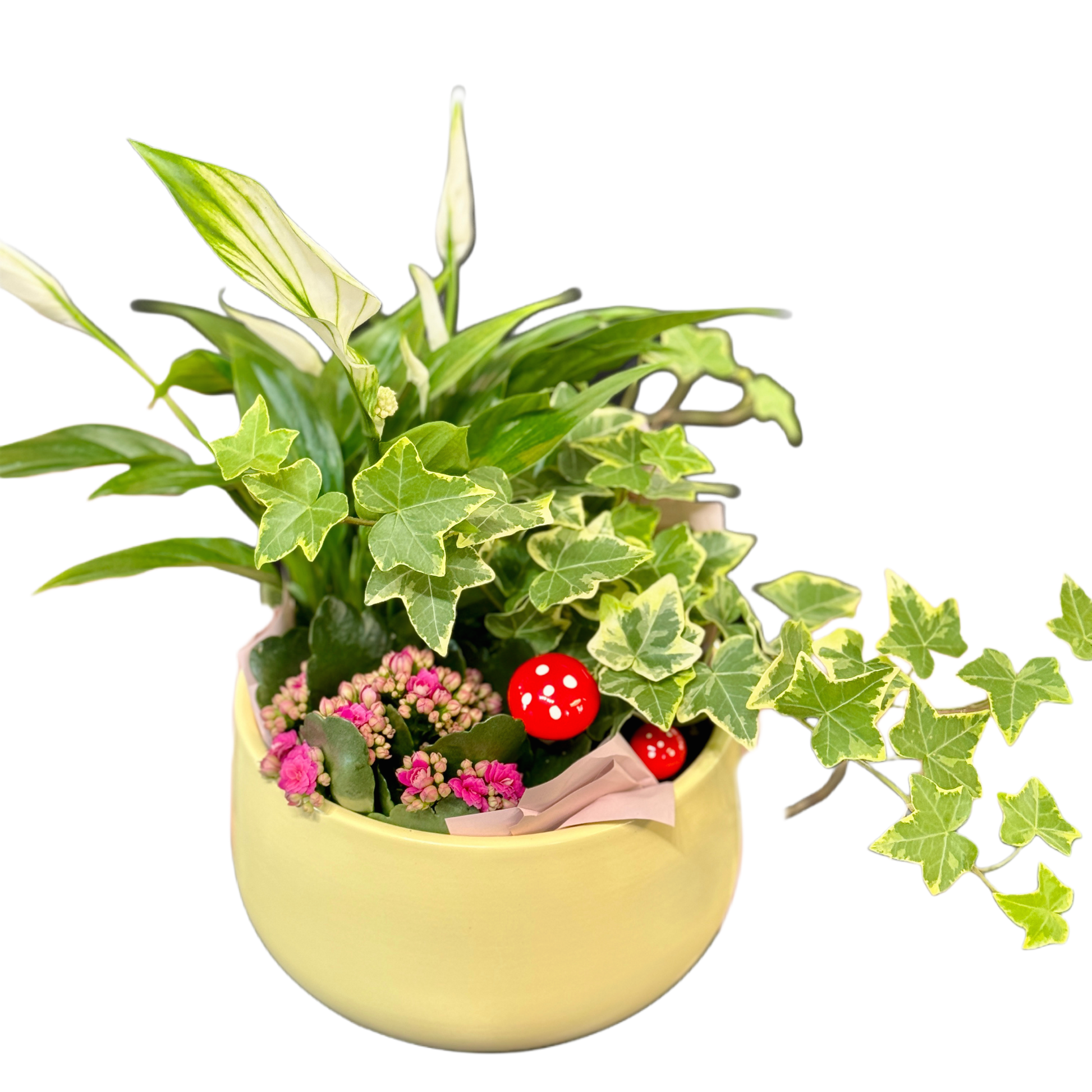 Aranjament „Grădină Urbană” cu plante verzi și iederă în vas decorativ – Mister Flower Florești