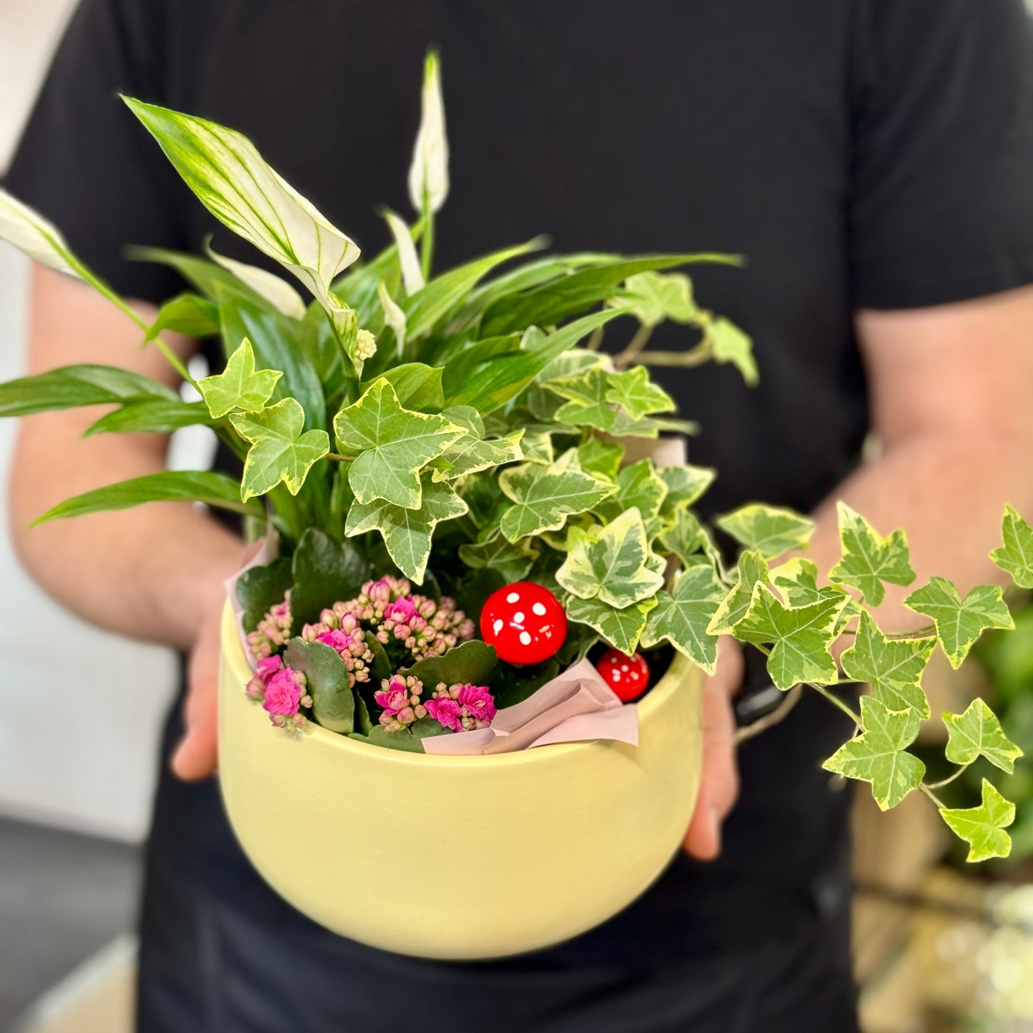 Aranjament cu plante verzi pentru cadou și birou, realizat de florăria Mister Flower din Florești