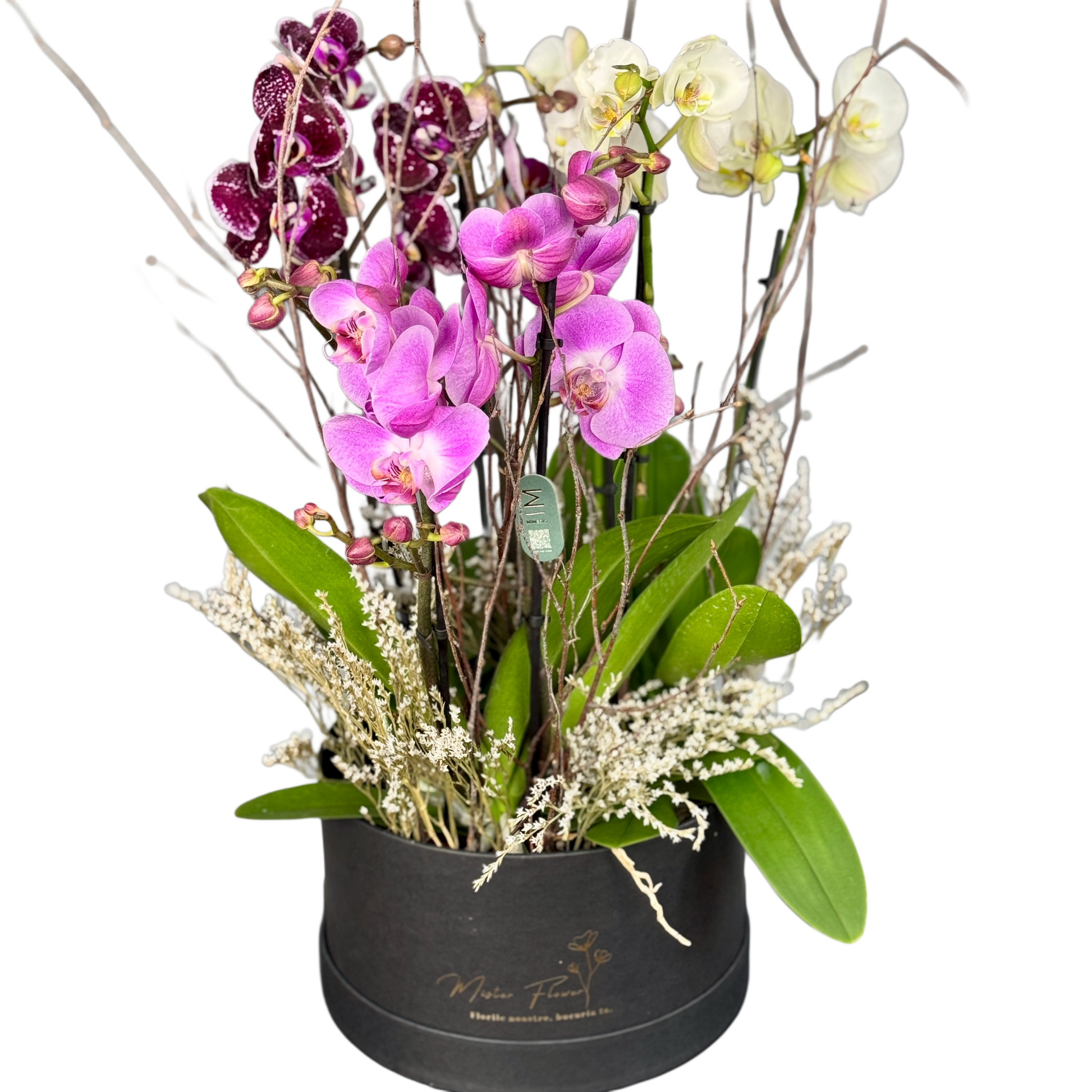 Aranjament floral cu orhidee naturală elegantă – livrare Cluj și Florești
