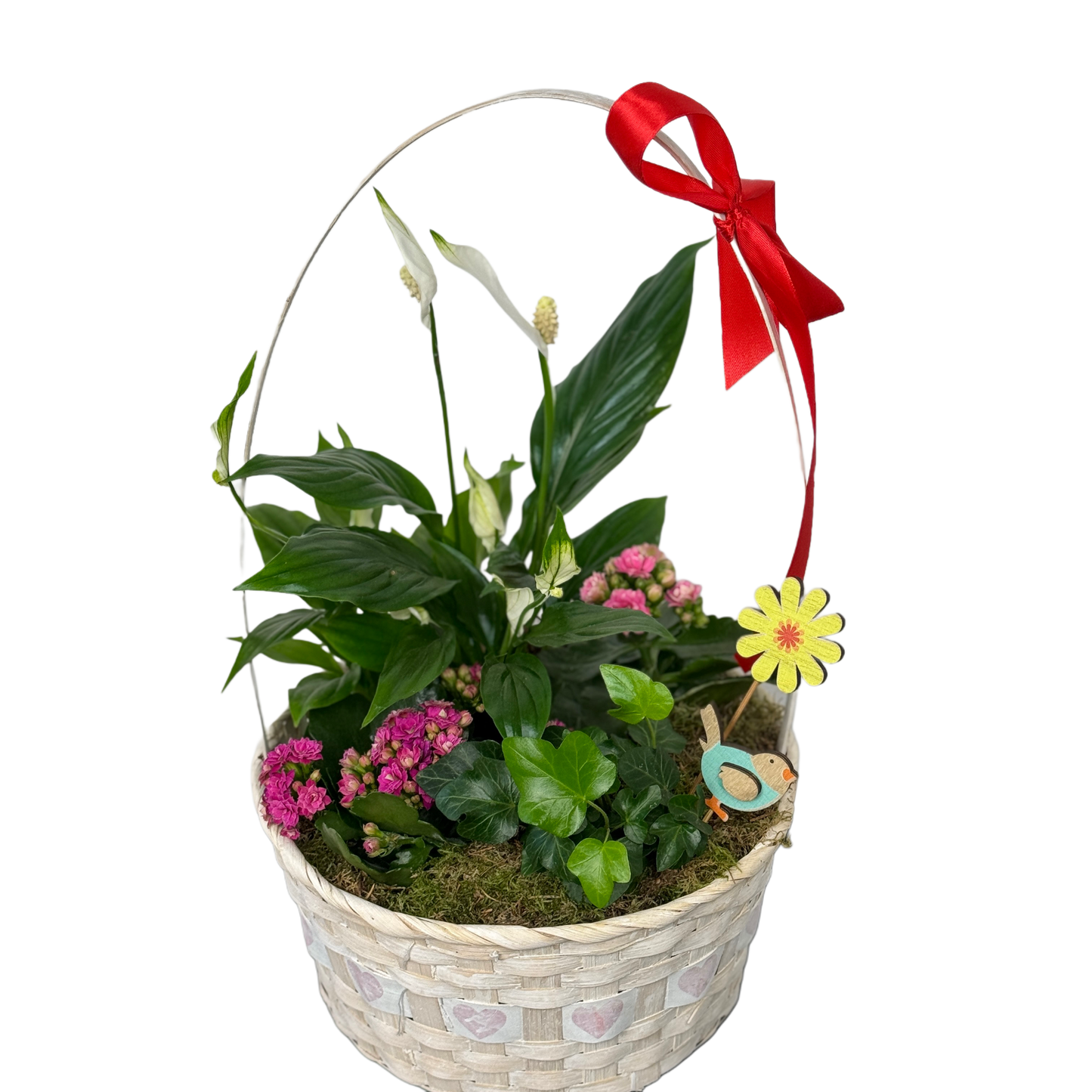 Aranjament în coș cu plante naturale de interior – livrare Cluj și Florești