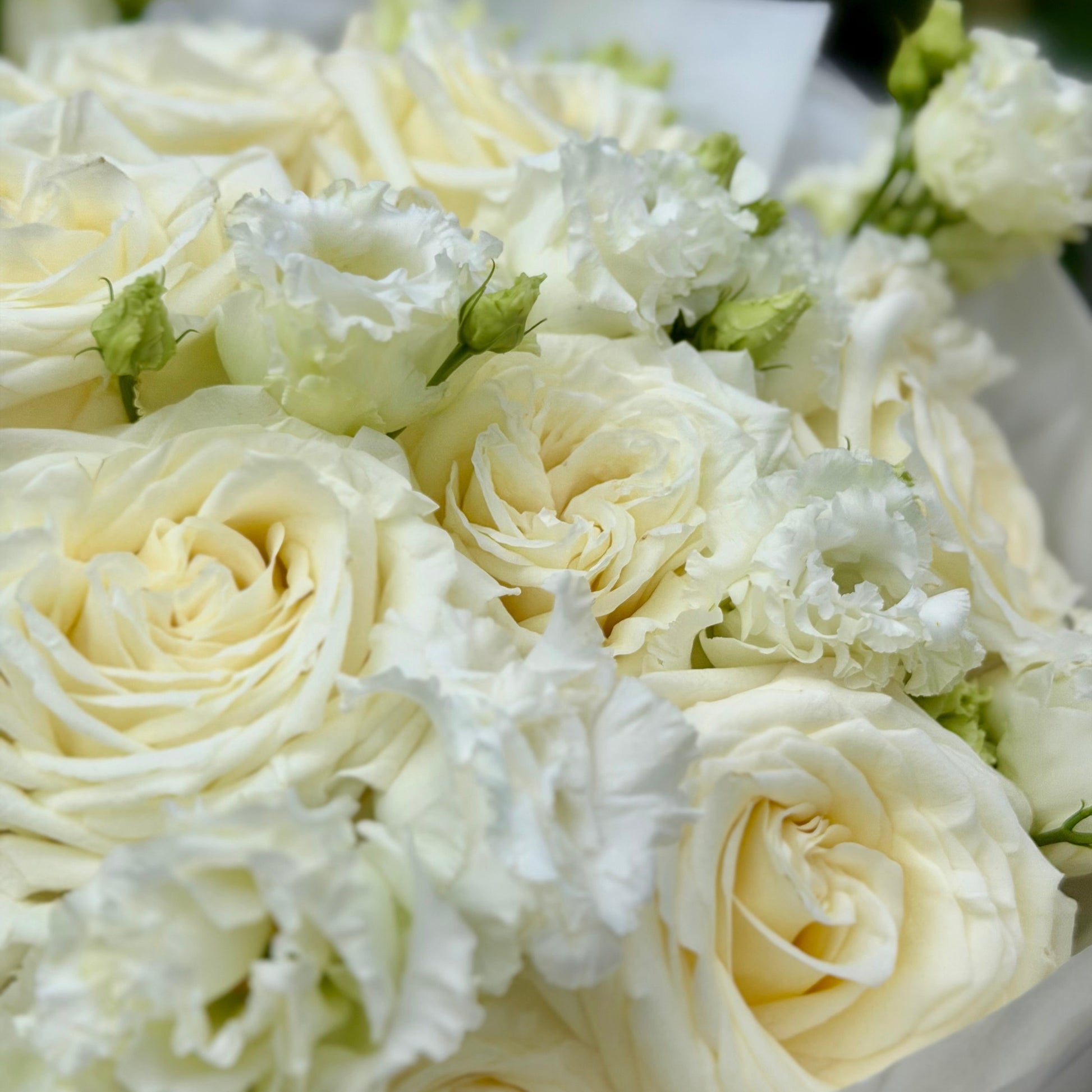 Buchet elegant de flori albe cu trandafiri crem și lisianthus, livrare Cluj