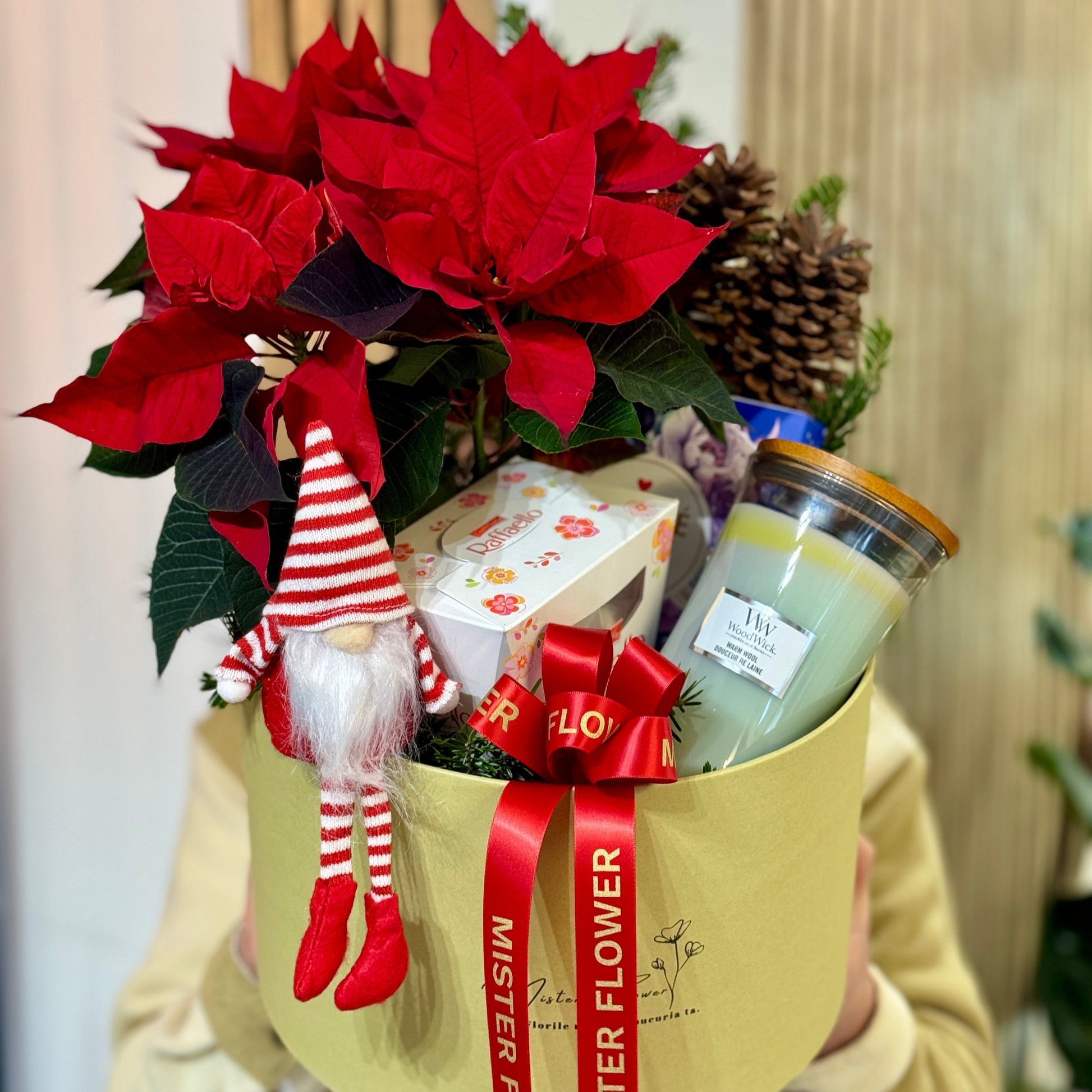 Cutie cadou de Crăciun cu floarea Crăciunului și spiriduș decorativ