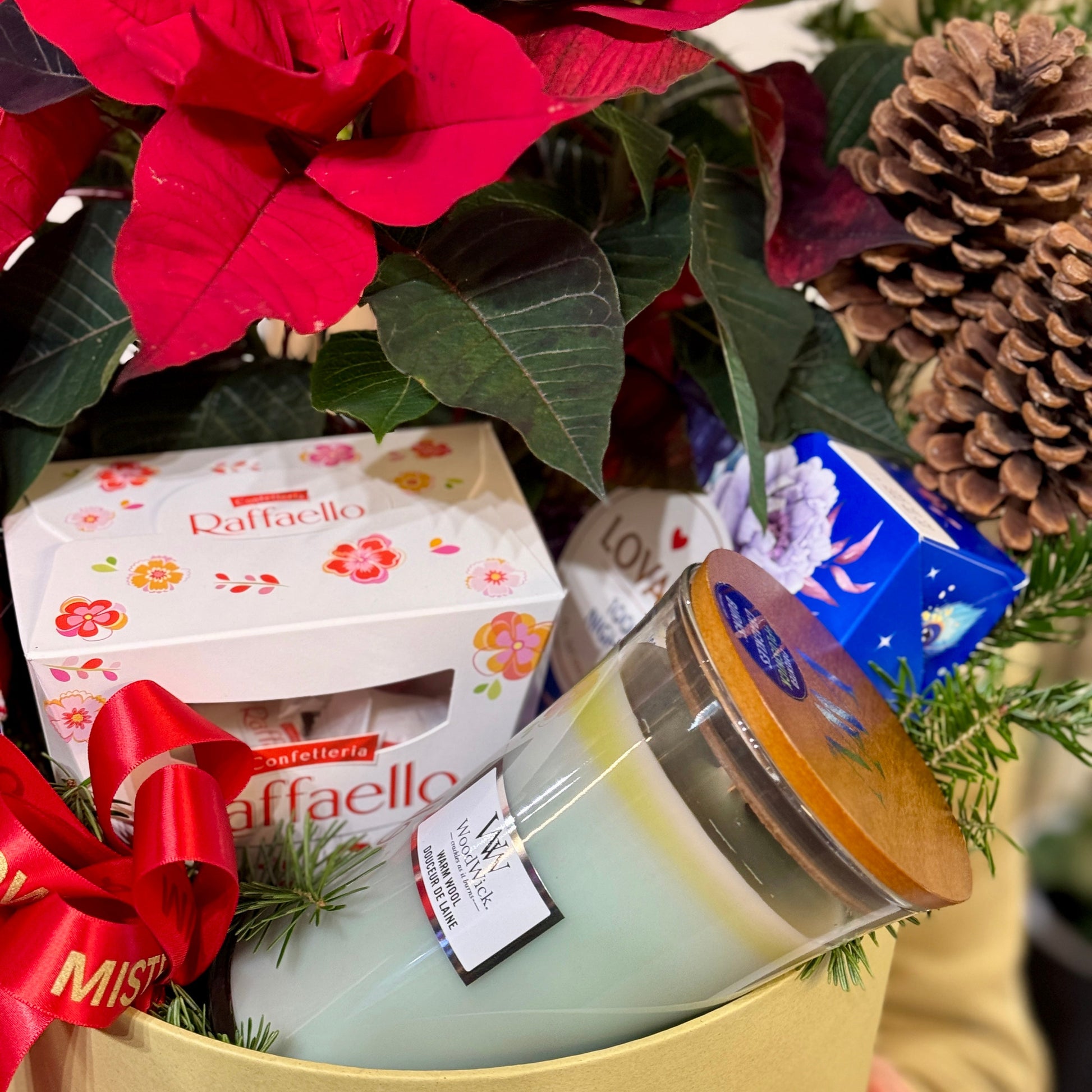 Gift set festiv cu Poinsettia și accesorii de sărbători