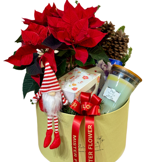 Holiday Cheer Gift Set cu Poinsettia roșie, lumânare și dulciuri
