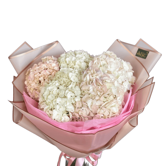 Buchet de hortensii – flori pastelate voluminoase, livrare Cluj și Florești