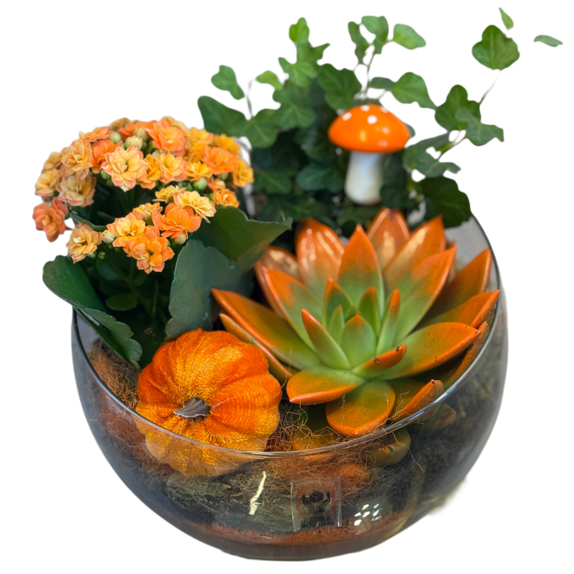 Terrarium cu suculente și flori portocalii în bol de sticlă – Florăria Mister Flower Florești Cluj