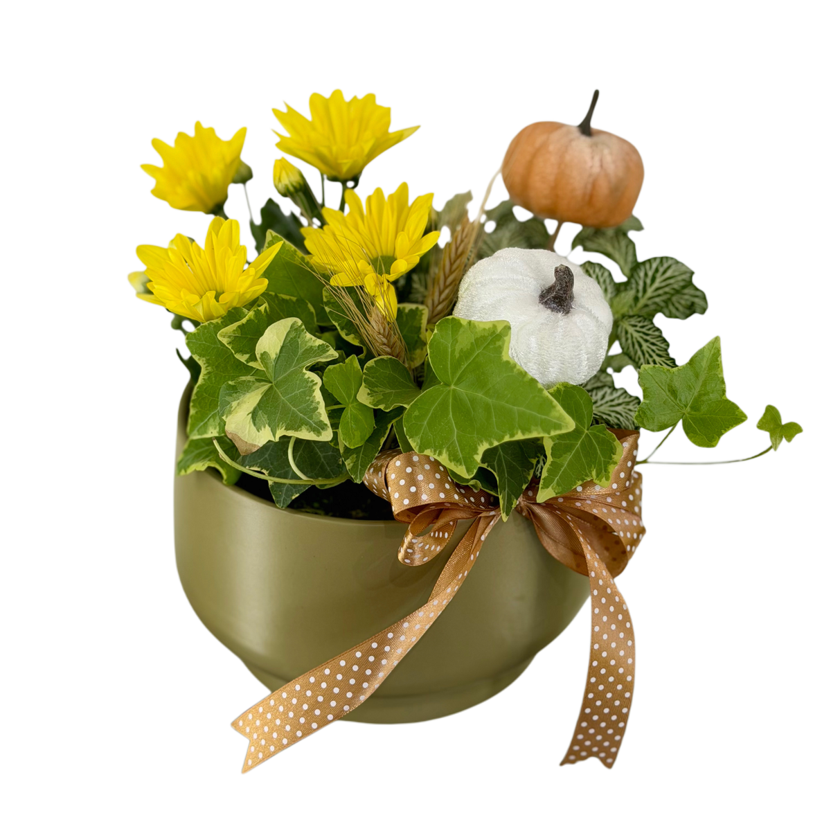 Aranjament Autumn Glow cu suculente și elemente decorative de toamnă – Cluj