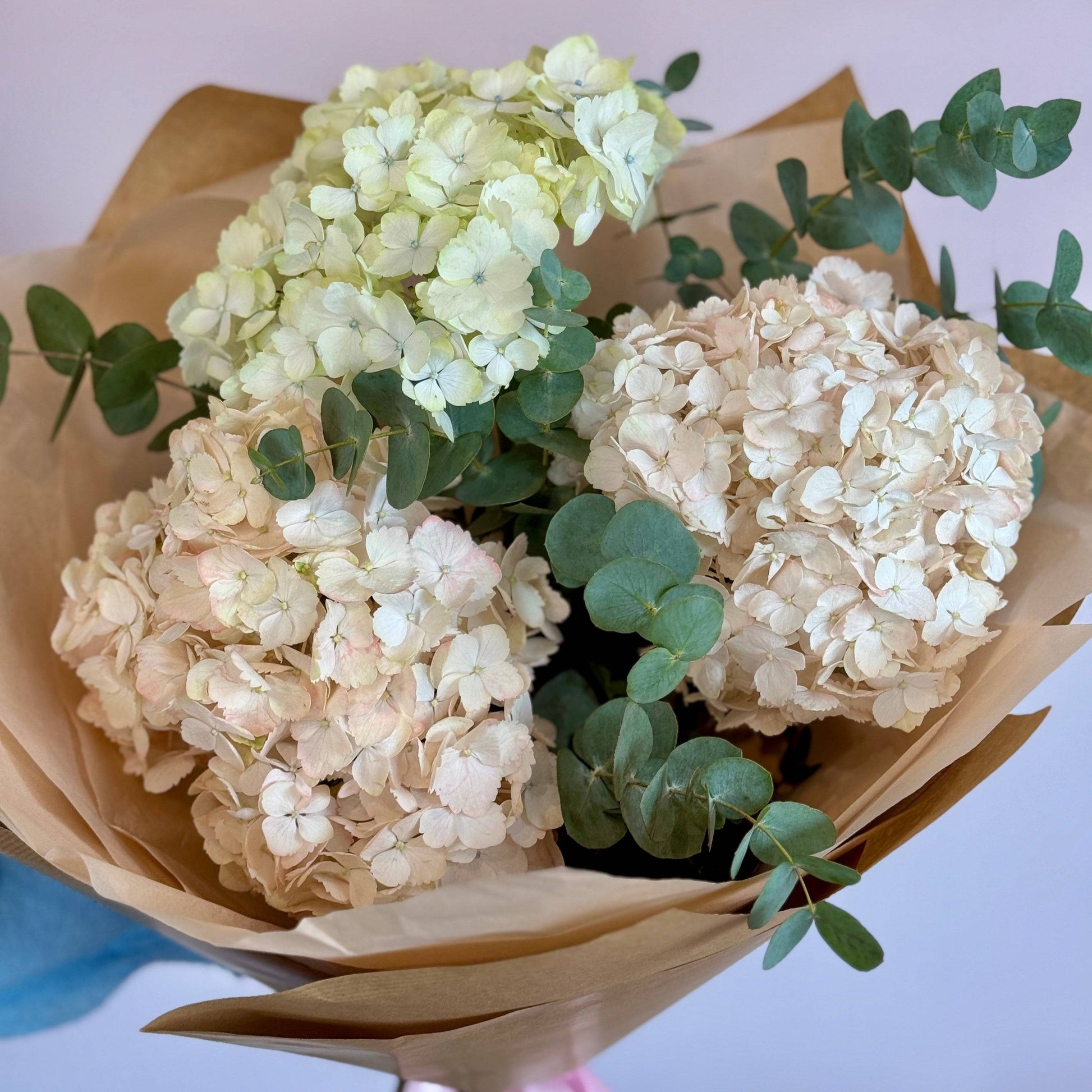 Buchet de hortensii și eucalipt natural – livrare în Cluj și Florești